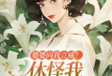 姜婉小说在线免费阅读(婆婆向我立威?休怪我一拳让你老实无弹窗无删减)-时代文学
