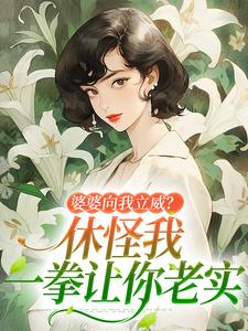姜婉小说在线免费阅读（婆婆向我立威？休怪我一拳让你老实无弹窗无删减）