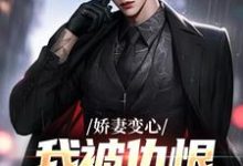 墨凉馨路无铭小说《娇妻变心，我被仇恨占据了全身》在线阅读-时代文学