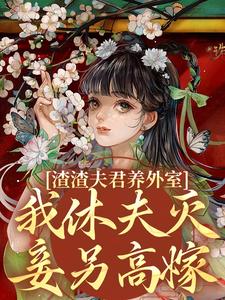 无删减版《渣渣夫君养外室，我休夫灭妾另高嫁》在线阅读