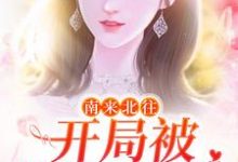 南来北往：开局被汪新喂糖免费阅读，南来北往：开局被汪新喂糖在线阅读-时代文学
