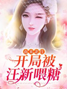 南来北往：开局被汪新喂糖免费阅读，南来北往：开局被汪新喂糖在线阅读