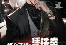 步青云雷蕾小说在线免费阅读（权力之路：凭铁拳，我令黑势力退避无弹窗无删减）-时代文学