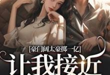 豪门阔太豪掷一亿，让我接近她儿子小说，豪门阔太豪掷一亿，让我接近她儿子南溪盛恩逸无弹窗在线阅读-时代文学