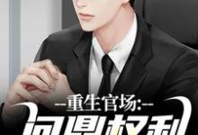小说《重生官场：问鼎权利之巅》在线阅读-时代文学