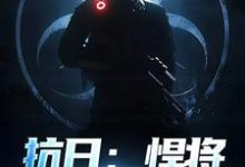 《抗日：悍将，他是个鬼子？》小说精彩章节免费试读，林放小说在线阅读-时代文学