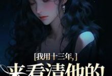 我用十三年，来看清他的真心无常小说免费资源，我用十三年，来看清他的真心无常在线阅读-时代文学