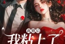 《离婚后，我粘上了那位大佬》小说精彩章节免费试读，陆骁舒愿小说在线阅读-时代文学