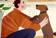 《再许你韶华如梦》小说章节列表免费试读，阮时音 段暮尘小说在线阅读-时代文学