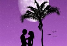 小说《逼我下堂娶贵女？夺回嫁妆我另嫁》章节免费阅读-时代文学