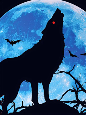 长林欢宴梦不赴这本小说完结了吗？免费查看最新章节