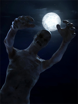 哪里可以免费找到⼗年成空？